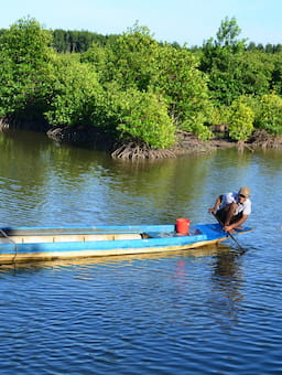 New insights on living wages in aquaculture sector