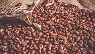 Building stronger incomes and more resilient coffee farmers