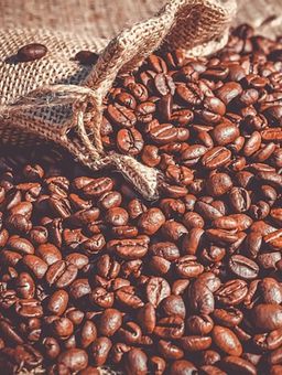 Building stronger incomes and more resilient coffee farmers
