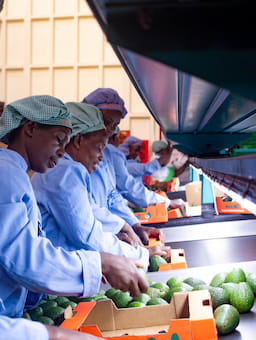 Living Wage due diligence under the CSDDD