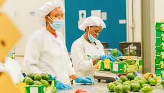 Prioritising social good can lead to shared prosperity