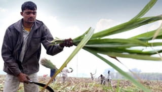 Wage data supports strong collective bargaining: CNV International